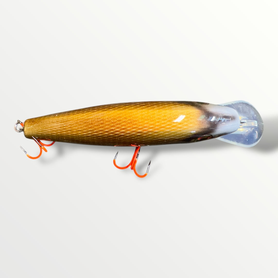 The Erniecc 6” Goldy