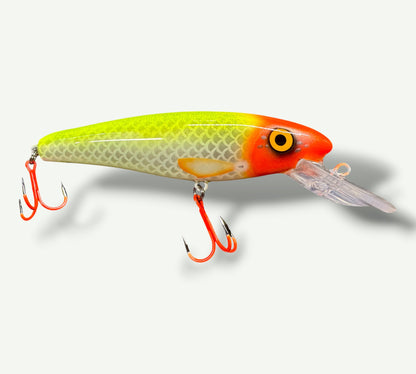 The ErnieCC 6” Pipo