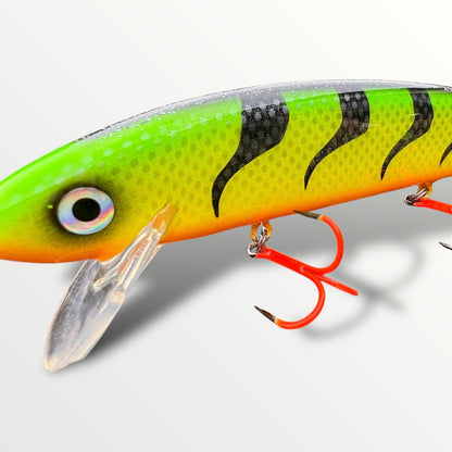 The Mari 8” fire Tiger
