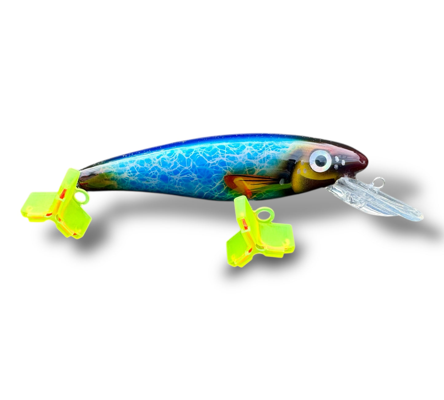 The Erniecc 6” Blue Shine