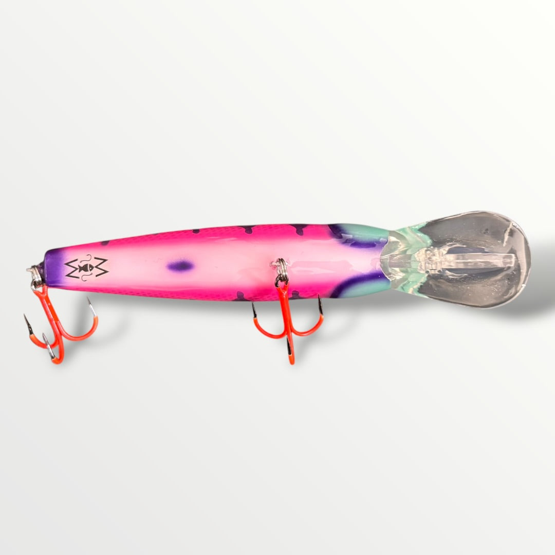 The ErnieCC 6”