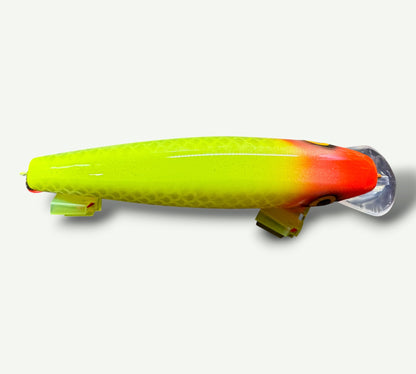 The ErnieCC 6” Pipo
