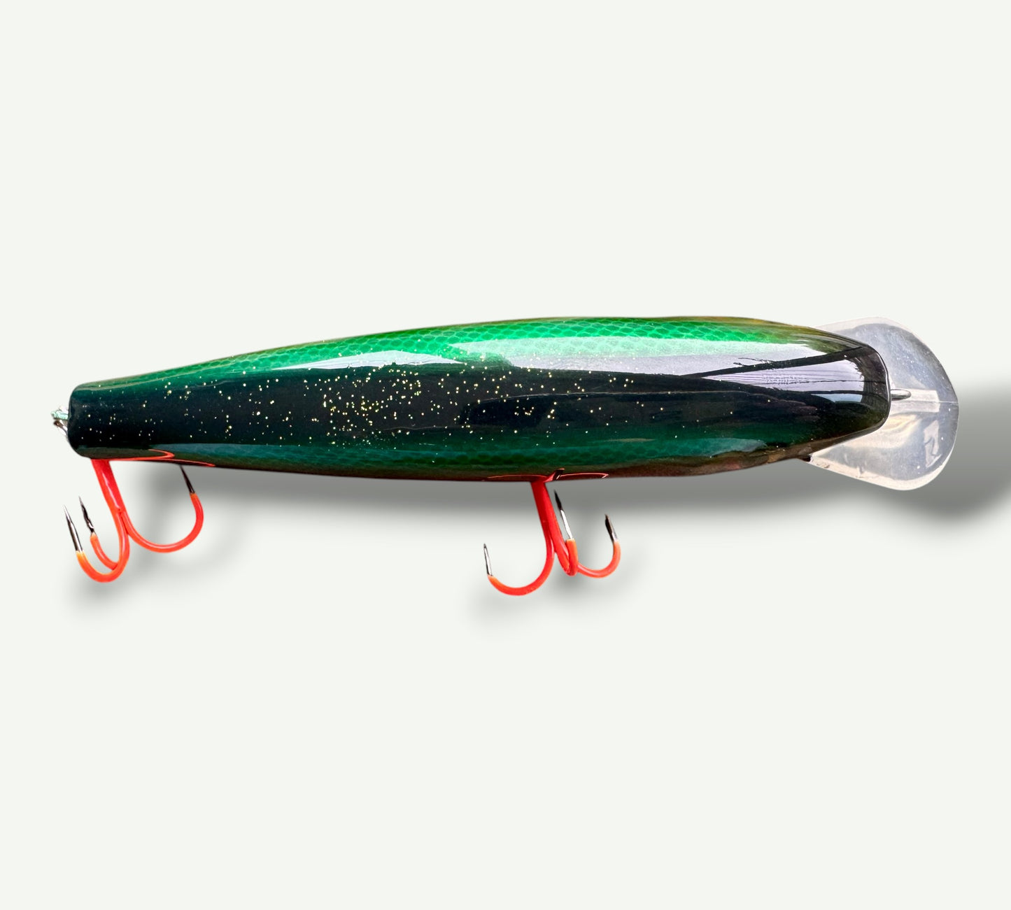 The ErnieCC 6”   Rainbow