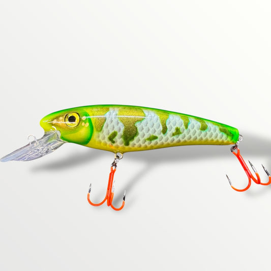 The Erniecc 6” GreenWave