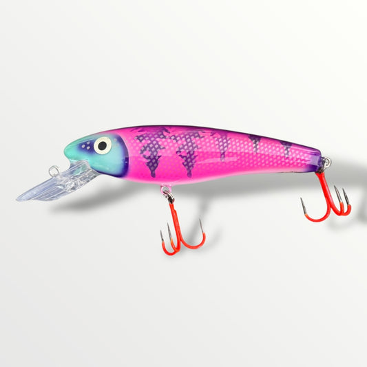 The ErnieCC 6”