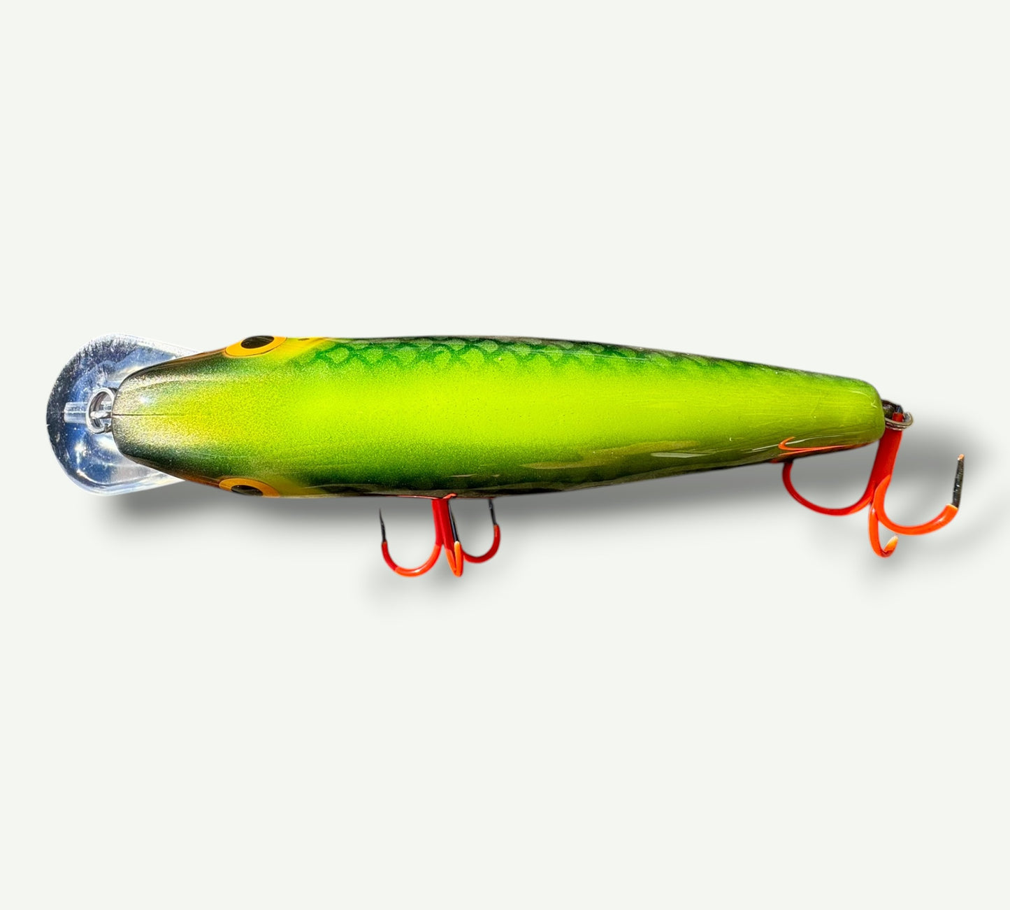 The ErnieCC 6” Neon