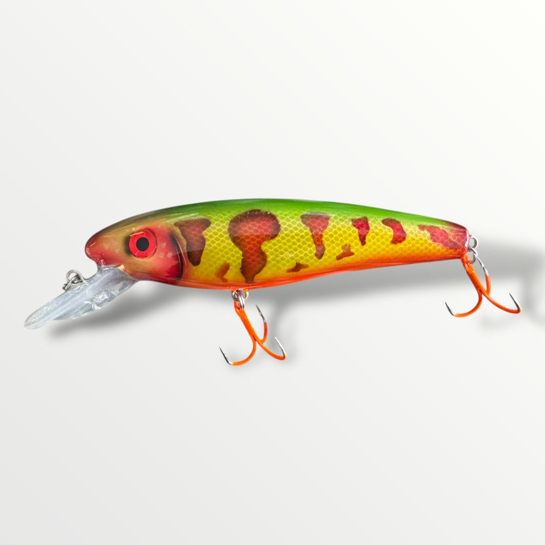 The ErnieCC 6” Tiger