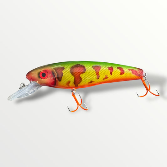The ErnieCC 6” Tiger
