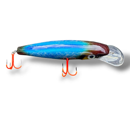 The Erniecc 6” Blue Shine