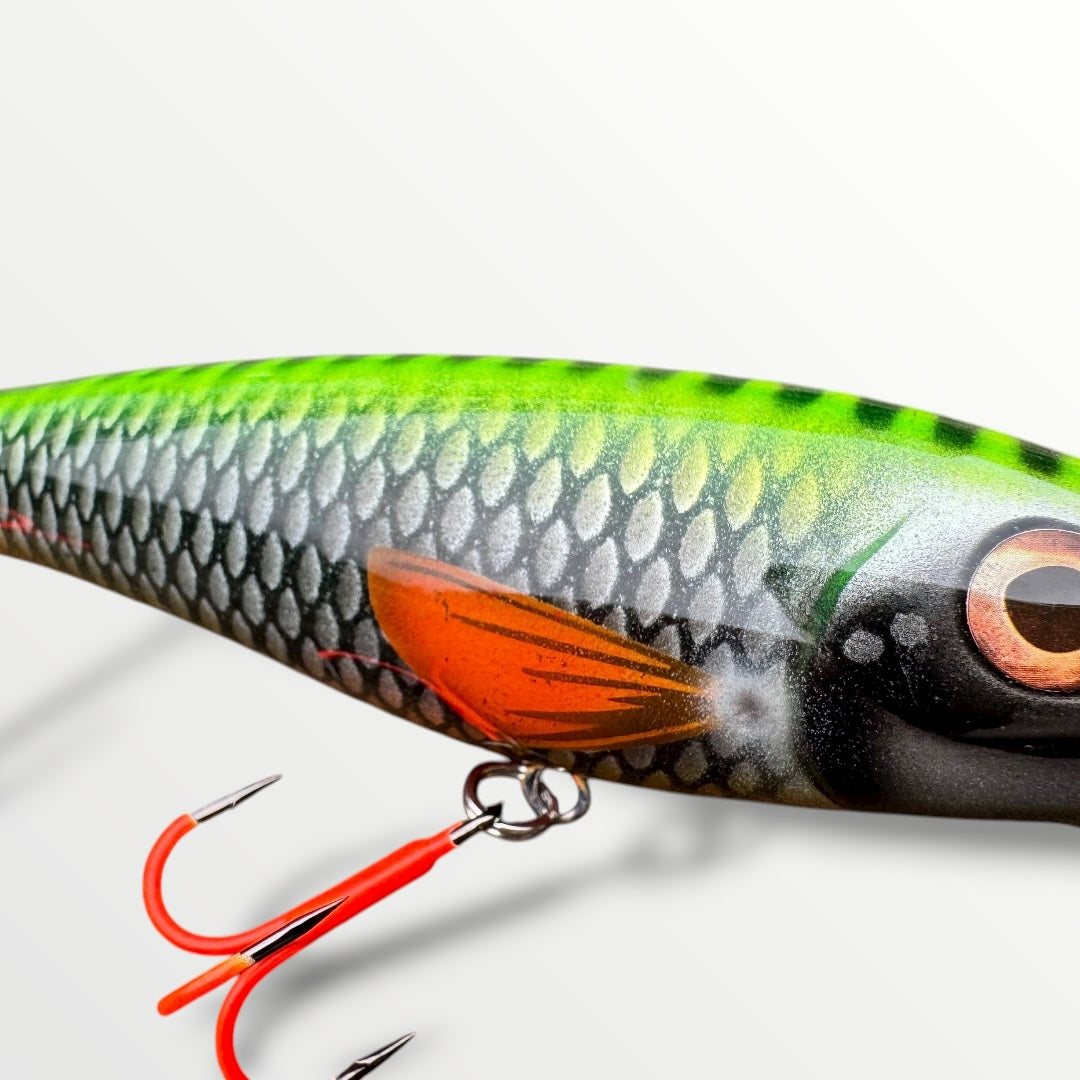 The Erniecc 6” NeonRoach