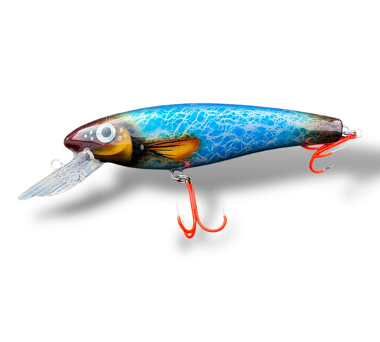 The Erniecc 6” Blue Shine