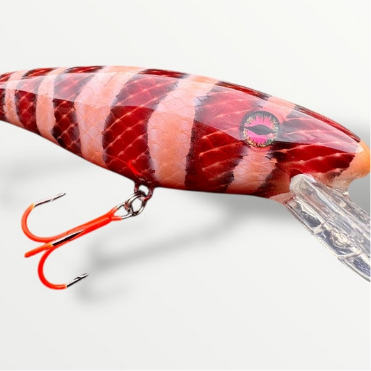 The ErnieCC 6” Snake