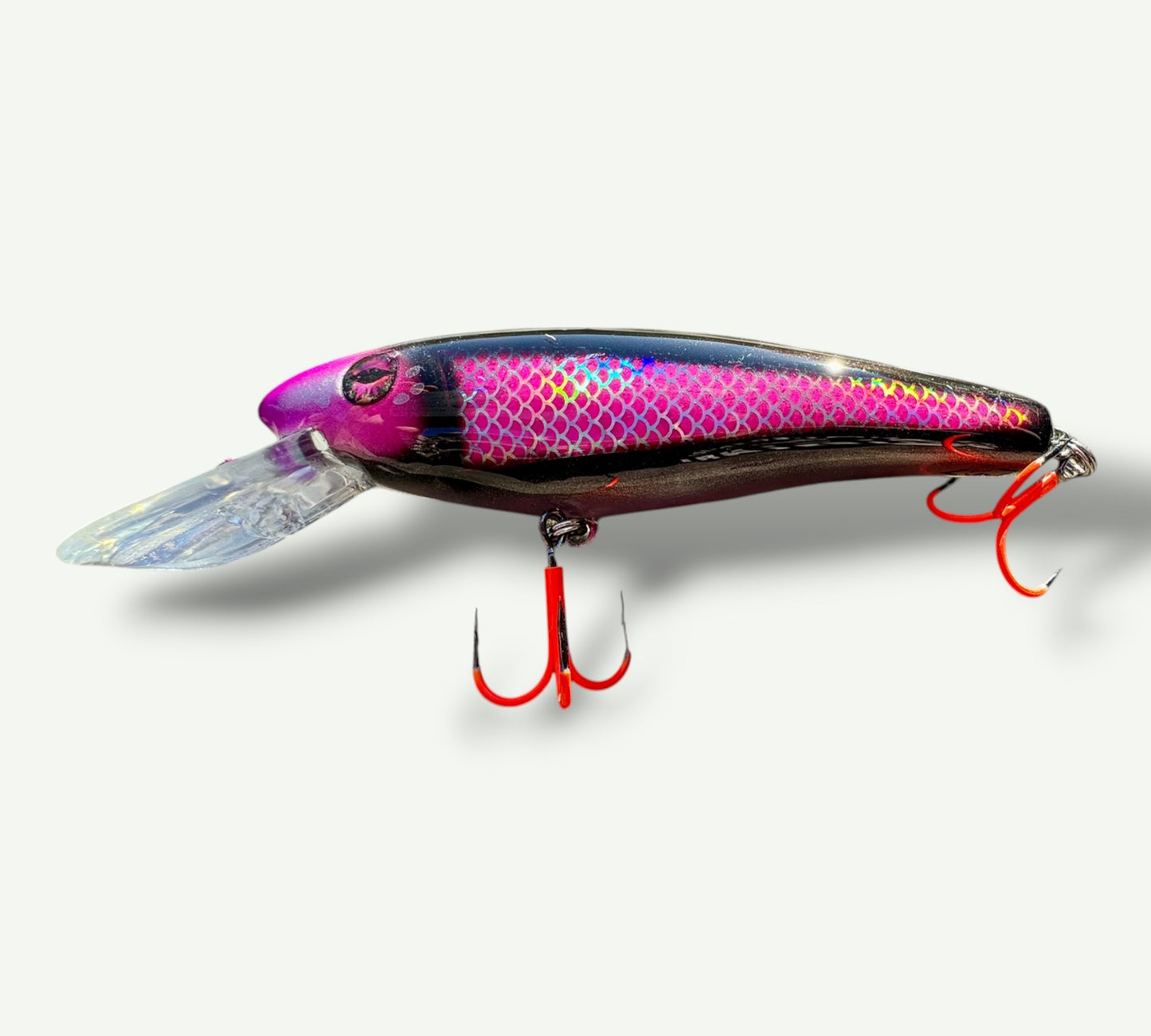 The ErnieCC 6”