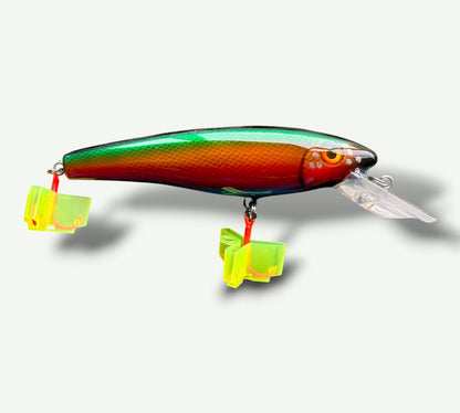 The ErnieCC 6”   Rainbow