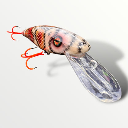 The ErnieCC 6” Boa