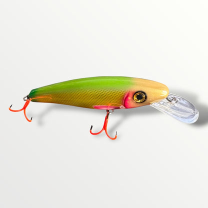 The ErnieCC 6”