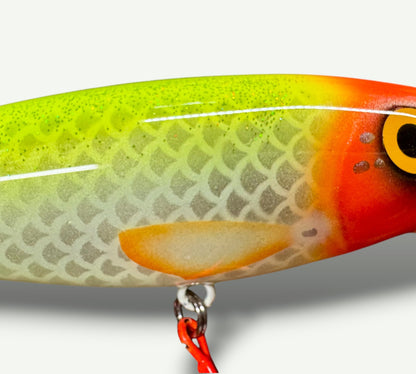 The ErnieCC 6” Pipo