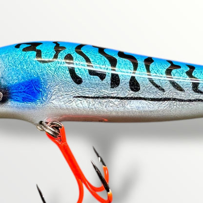 Big Head Minnow Herring the streetfishing sensatie