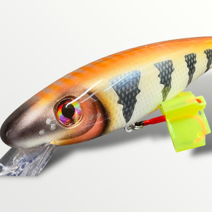 The Erniecc 6” flame