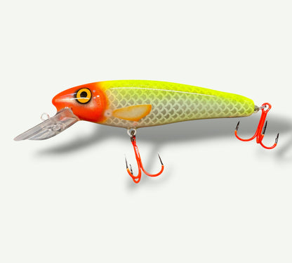 The ErnieCC 6” Pipo