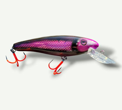 The ErnieCC 6”