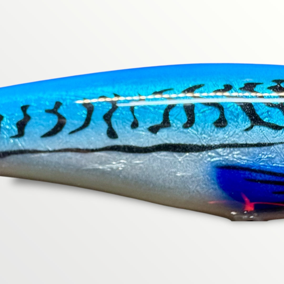 The CC Ernie ''6 Herring