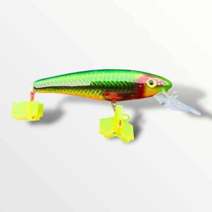 The Erniecc 6” Glowvibe