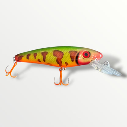 The ErnieCC 6” Tiger