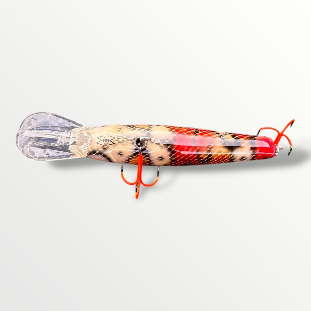 The ErnieCC 6” Boa