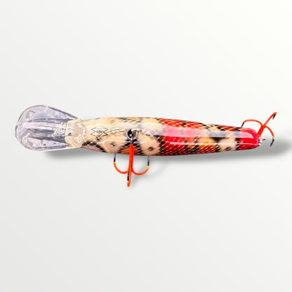 The ErnieCC 6” Boa