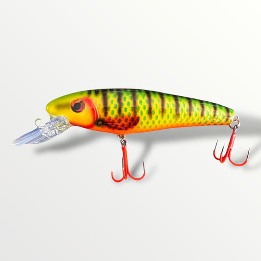 The ErnieCC 6”