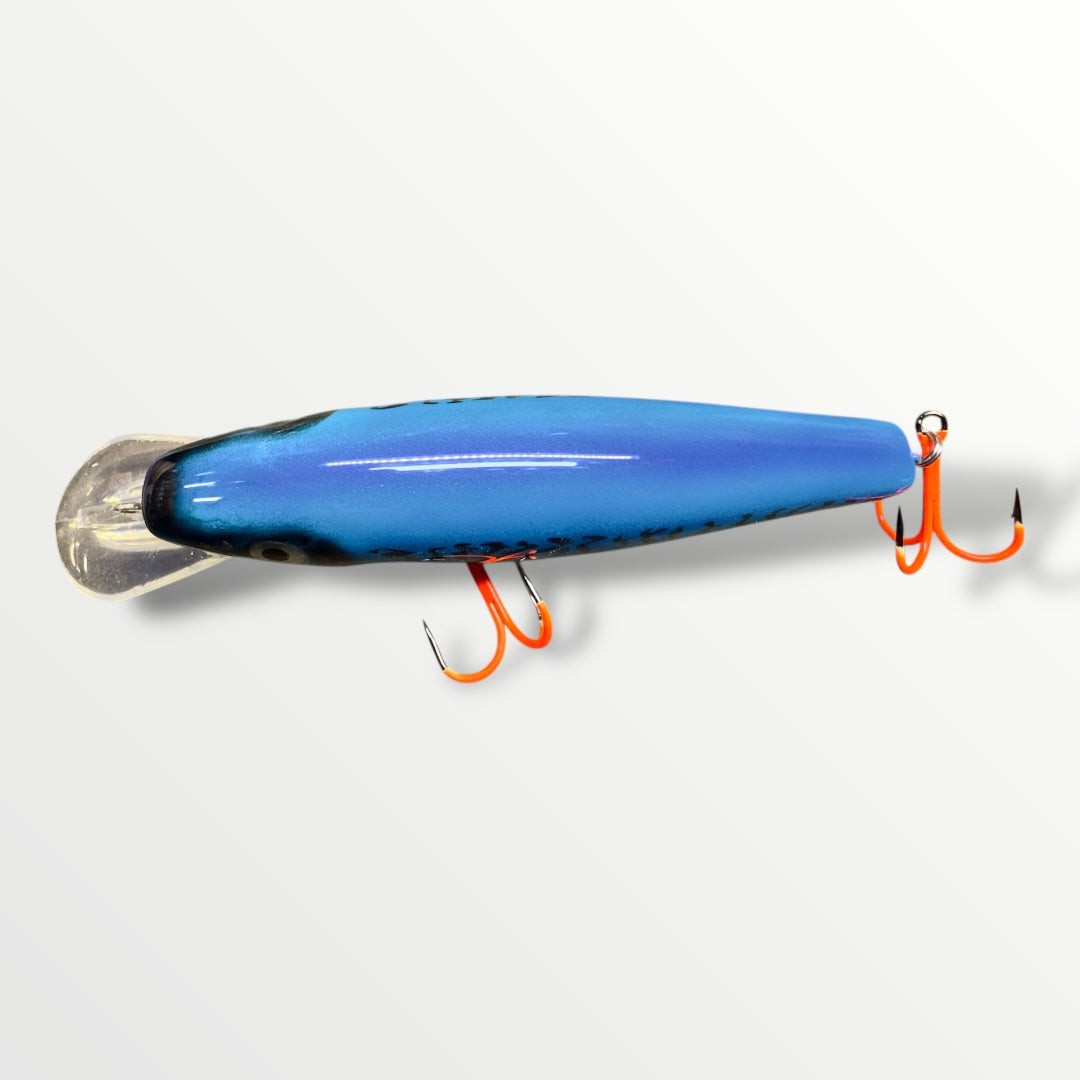 The CC Ernie ''6 Herring