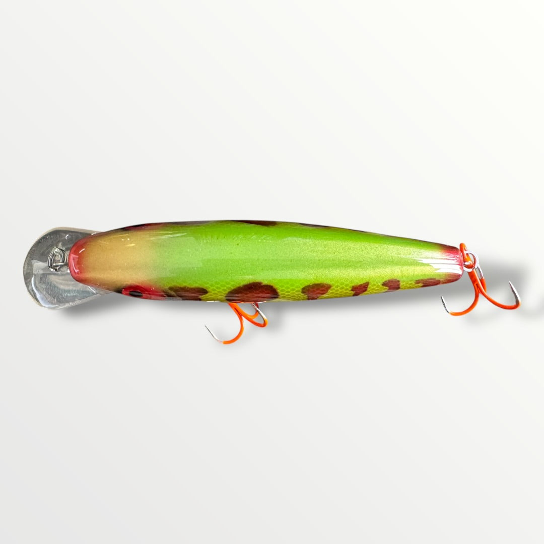 The ErnieCC 6” Tiger