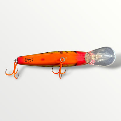 The ErnieCC 6” Tiger