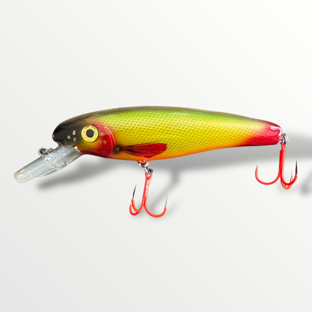 The ErnieCC 6”