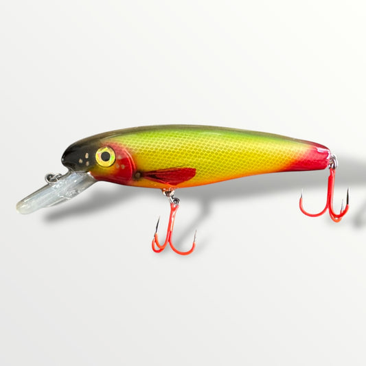 The ErnieCC 6”