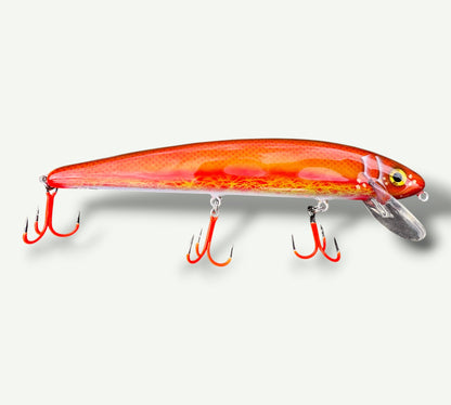 The Mari 8” 20cm GoldFish
