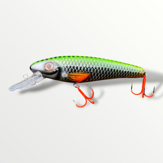 The Erniecc 6” NeonRoach