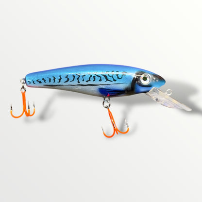 The CC Ernie ''6 Herring