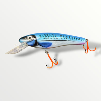 The CC Ernie ''6 Herring