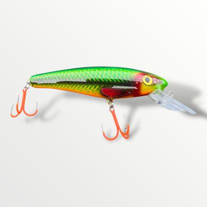 The Erniecc 6” Glowvibe