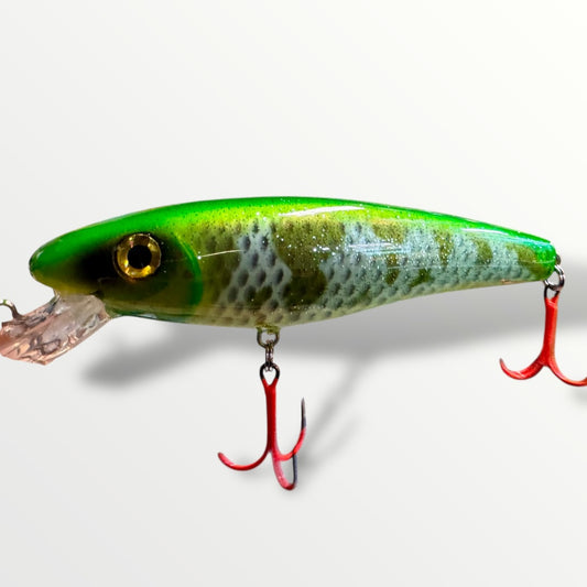 The Erniecc 6” GreenWave glitter