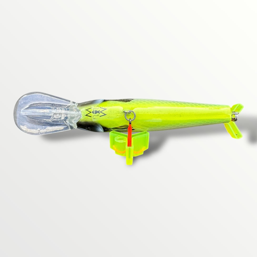 The CC Ernie 6'' Moly