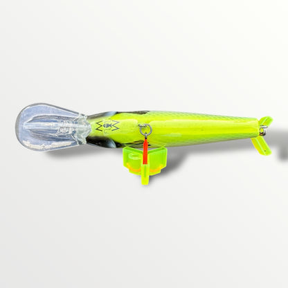 The CC Ernie 6'' Moly