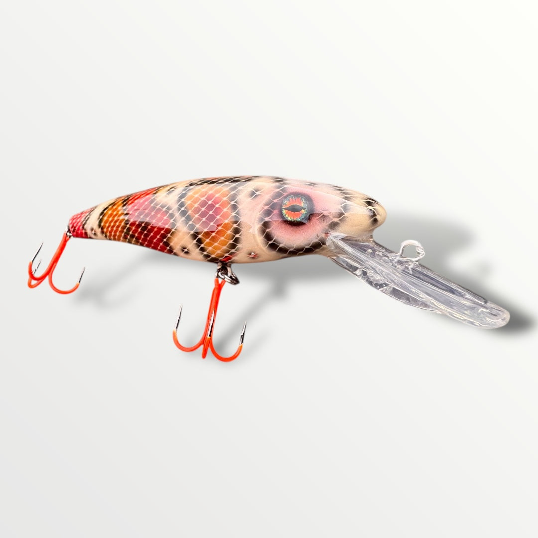 The ErnieCC 6” Boa