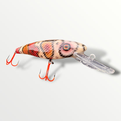 The ErnieCC 6” Boa