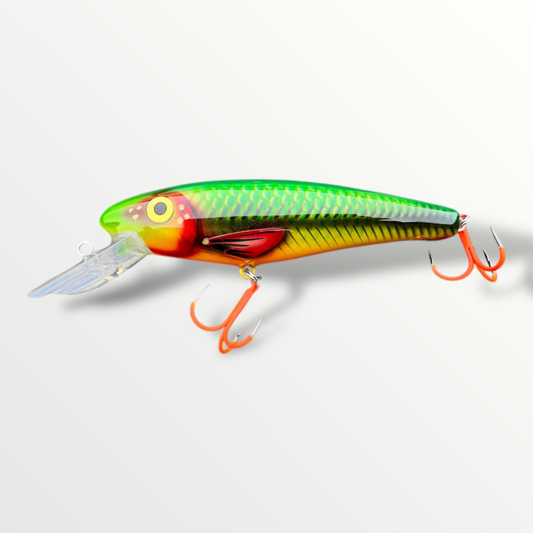 The Erniecc 6” Glowvibe