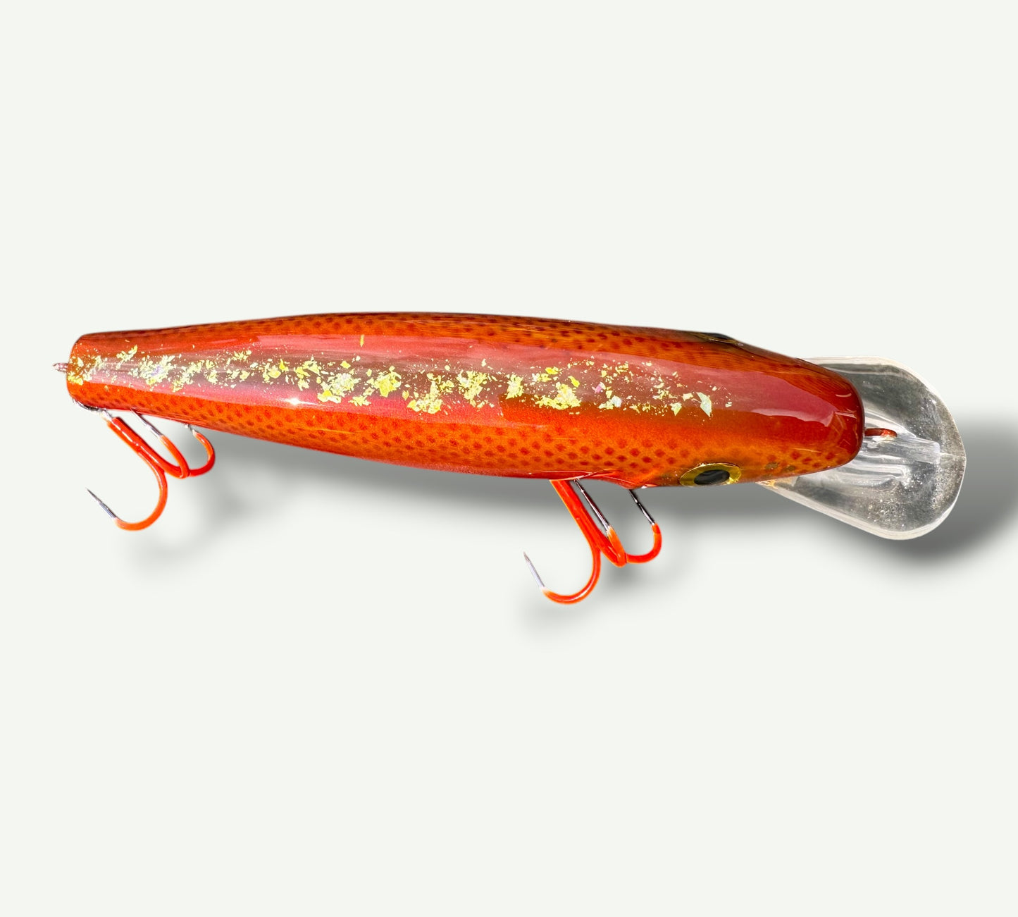 The ErnieCC 6”  GoldFish