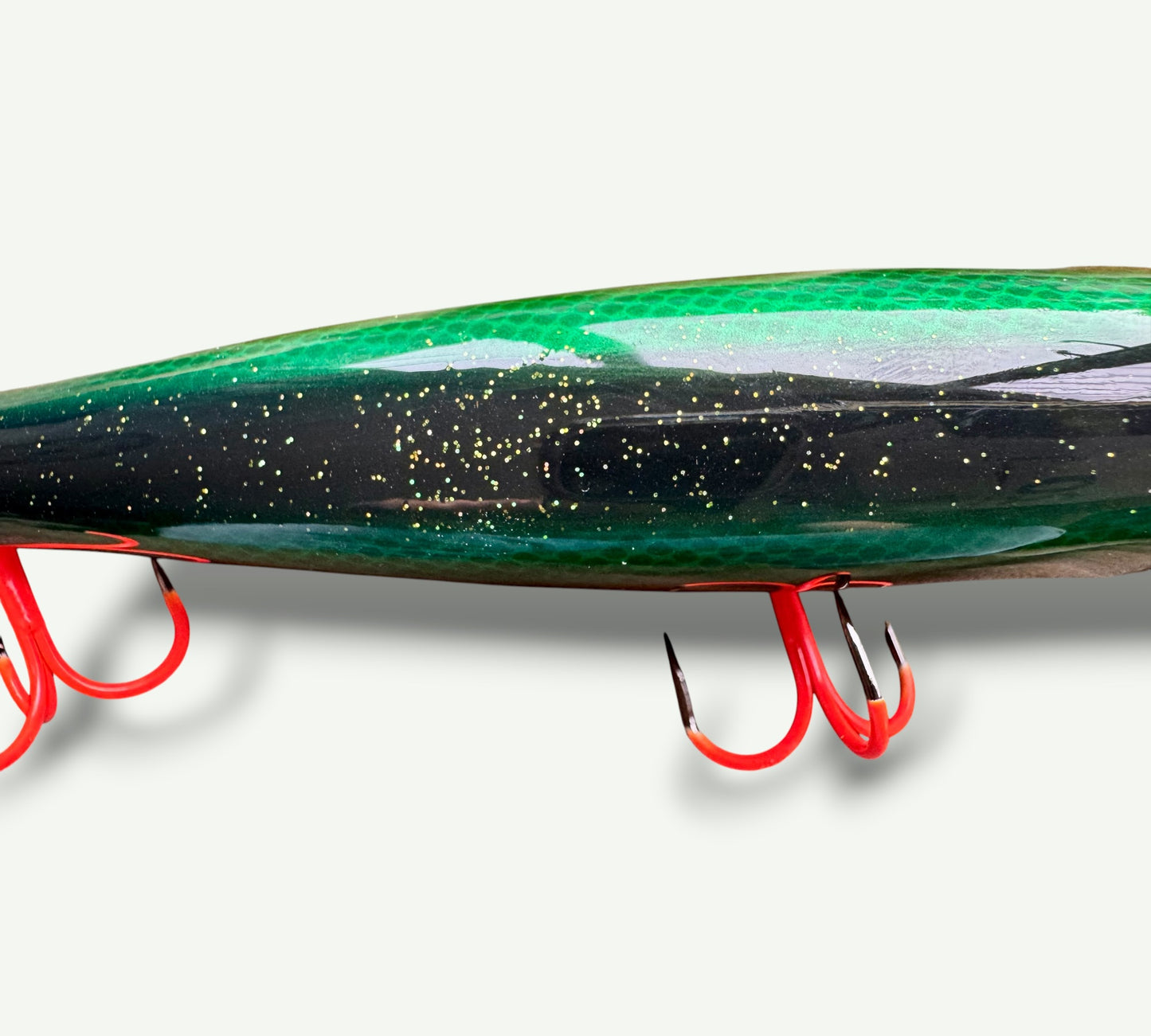 The ErnieCC 6”   Rainbow