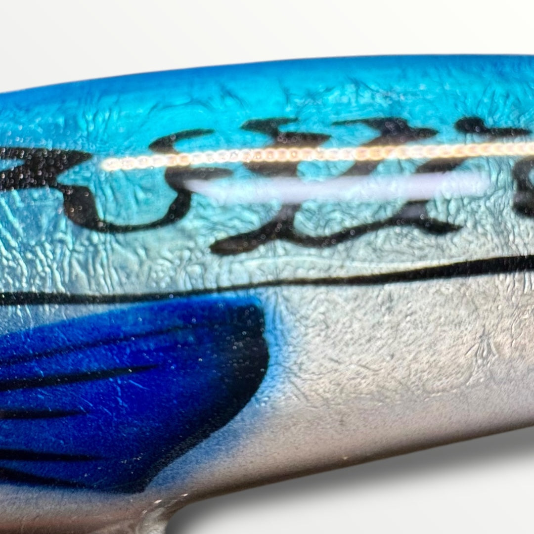 The Mari 8” Herring